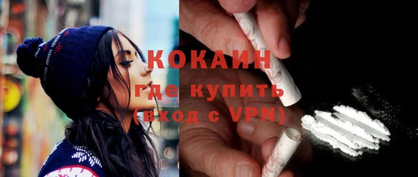 гашик Осинники