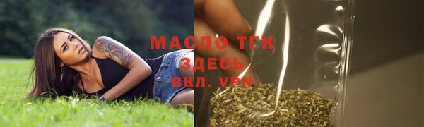 гашик Осинники