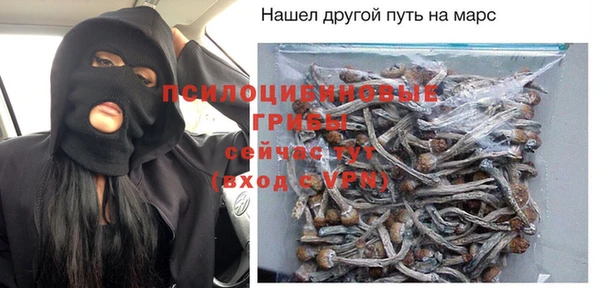 крисы Осташков