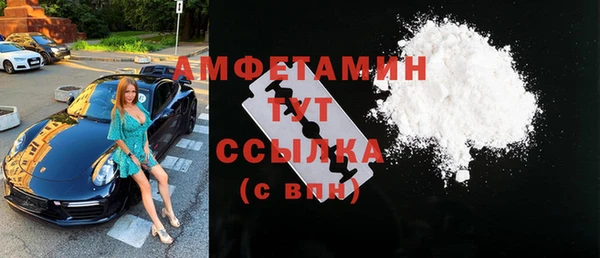 гашик Осинники