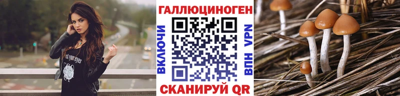 Псилоцибиновые грибы MAGIC MUSHROOMS kraken ONION Полтавская